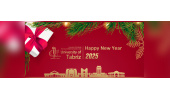 Merry Christmas and Happy New Year 2025