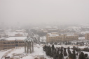 زیبایی های زمستان در دانشگاه تبریز