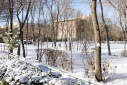 زیبایی های زمستان در دانشگاه تبریز