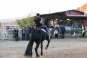 کارگاه آموزشی عملی اسب سواری در دانشگاه تبریز