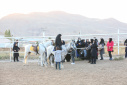 کارگاه آموزشی عملی اسب سواری در دانشگاه تبریز