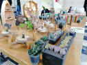 گزارش تصویری/ برگزاری نمایشگاه تخصصی باغبانی(گل و گیاه) در دانشکده کشاورزی