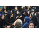 آئین عزاداری شهادت حضرت رقیه (س) در دانشگاه تبریز