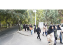 گرامیداشت هفته تربیت بدنی در دانشکده علوم طبیعی دانشگاه تبریز