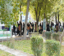 گرامیداشت هفته تربیت بدنی در دانشکده علوم طبیعی دانشگاه تبریز