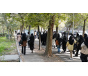 گرامیداشت هفته تربیت بدنی در دانشکده علوم طبیعی دانشگاه تبریز
