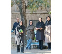 برگزاری  ورزش همگانی در دانشکده علوم طبیعی به مناسبت هفته تربیت‌بدنی