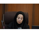 نخستین نشست مطبوعاتی اولین کنگره بین‌المللی زیست محیطی شهر سبز و دانشگاه تبریز