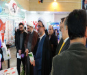 سیزدهمین جشنواره رویش در دانشگاه تبریز