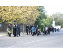ورزش صبحگاهی دانشگاهیان دانشگاه تبریز به مناسبت روز جهانی ورزش‌های دانشگاهی/ پخش زنده از برنامه سحرلر شبکه سهند