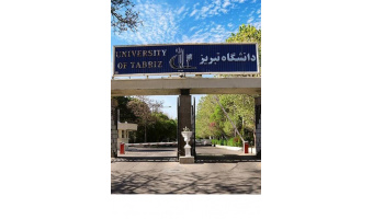 دانشگاه آینده بدون فلسفه کور خواهد بود. چرا؟