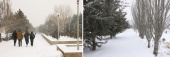 زمستان در دانشگاه تبریز به روایت تصویر