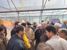 اظهار رضایت مسئولین ارشد استانی از امکانات کمپ دانشگاه تبریز